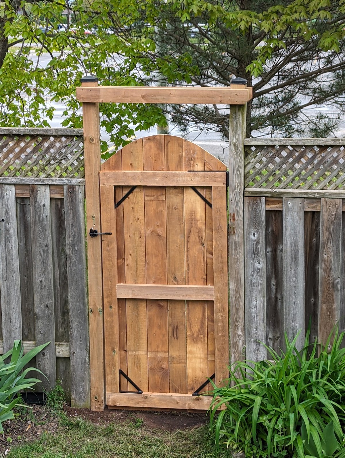 Custom wooden gate with arched top and black metal hardware installed in Kingston